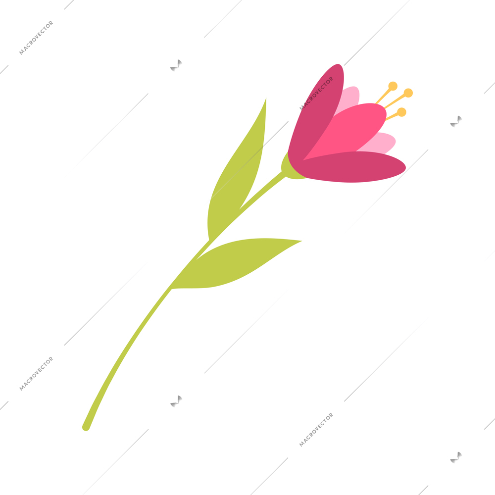 Pink flower with green leaves cartoon vector illustration