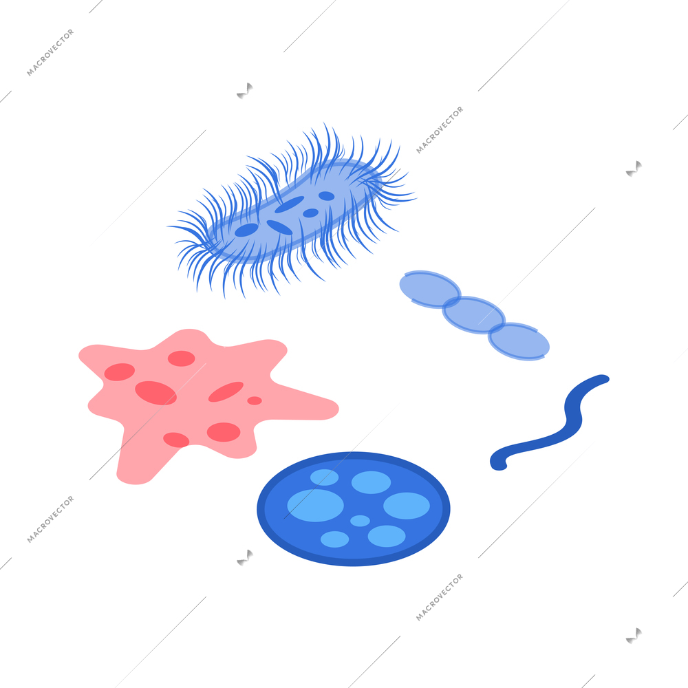 Colorful bacteria microorganism germs of different shape isolated isometric vector illustration