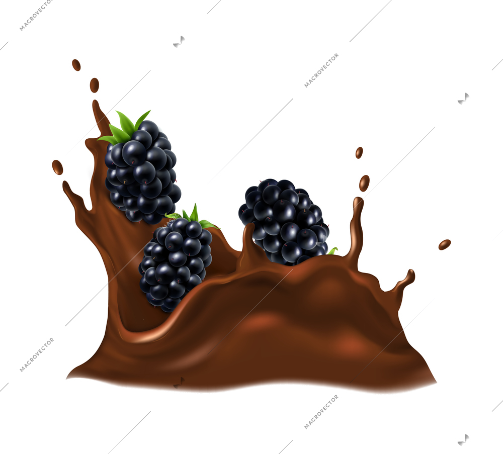Three realistic blackberries in dark chocolate splashes vector illustration