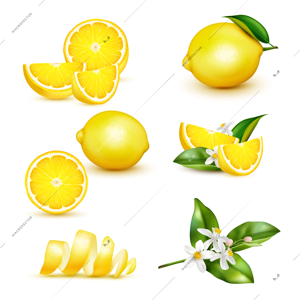 Citrus lemon fruit whole half quarter slice spiral peel leaves twig flowers realistic set isolated vector illustration