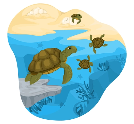 Turtle life cycle composition with profile view of marine terrain with characters of turtles and fishes vector illustration