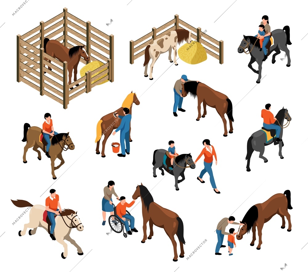 Hippotherapy isometric set with horses in stable people contacting with animals and riding horseback isolated vector illustration