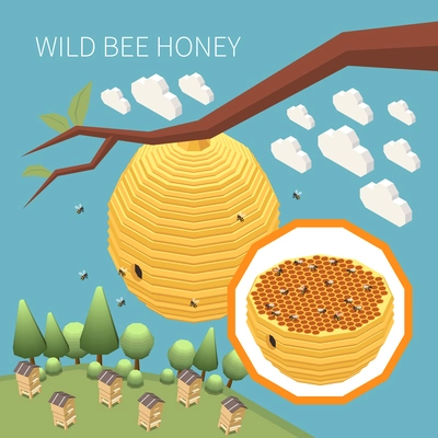 Wild bee honey isometric background with bee hive nest hanging on tree branch vector illustration
