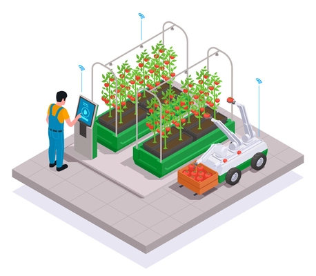 Modern greenhouse isometric and colored concept worker synchronizes smart equipment to harvest vector illustration