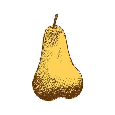 Ripe yellow pear hand drawn vector illustration