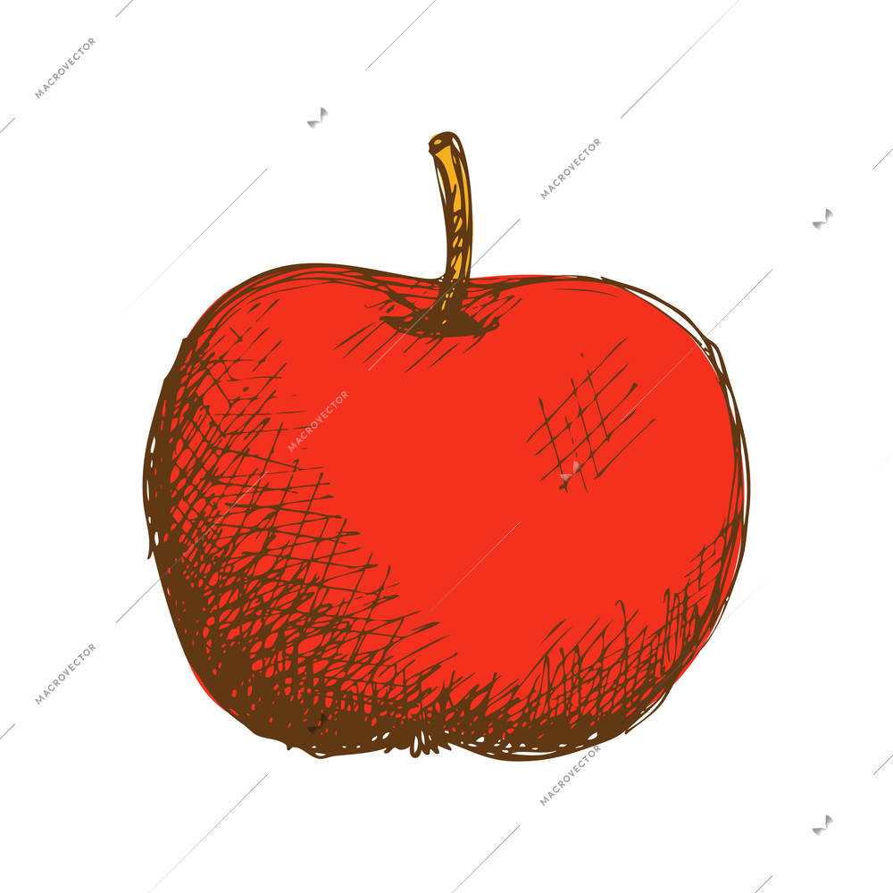 Ripe red apple in hand drawn style vector illustration