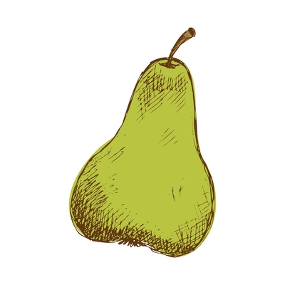 Hand drawn green pear on white background vector illustration