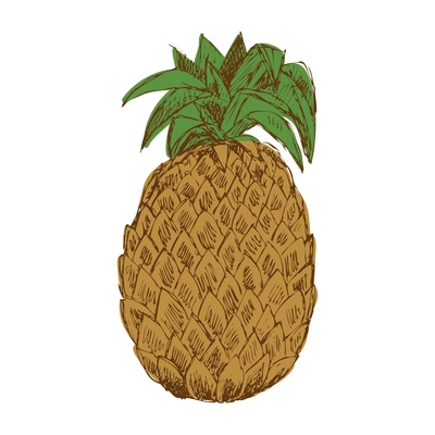 Hand drawn pineapple with green leaves vector illustration