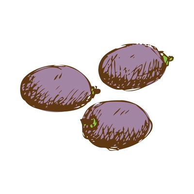 Three dark grape berries isolated hand drawn vector illustration