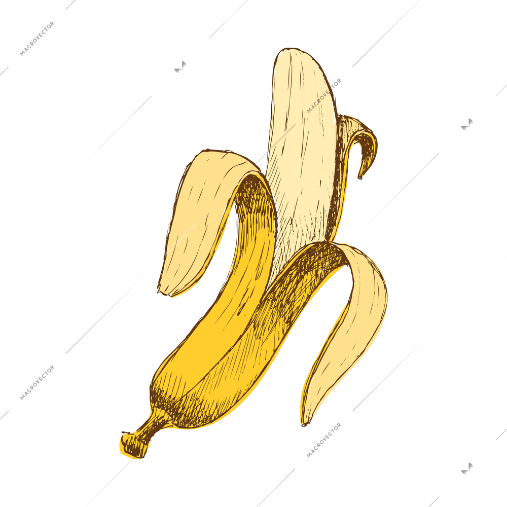 Hand drawn half peeled banana vector illustration