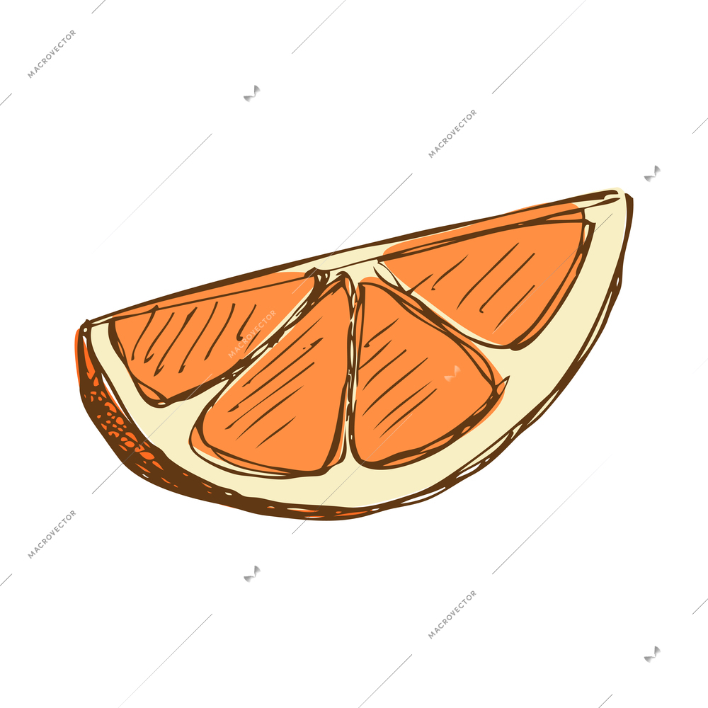 Slice of orange in hand drawn style vector illustration