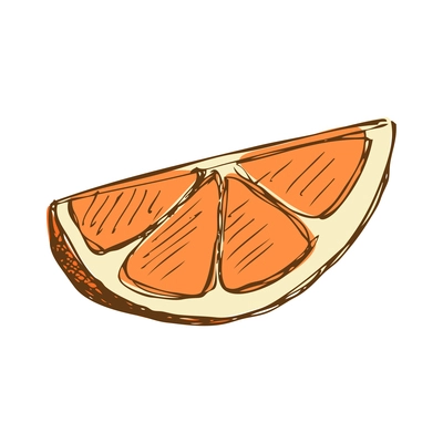 Slice of orange in hand drawn style vector illustration