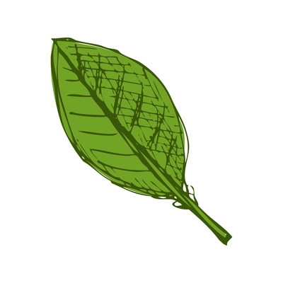 Green leaf in hand drawn style vector illustration