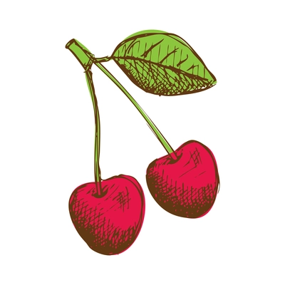 Two ripe cherries with green leaf hand drawn vector illustration