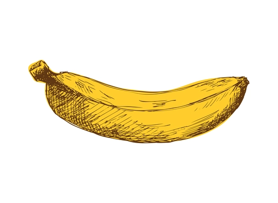 Whole unpeeled banana hand drawn vector illustration