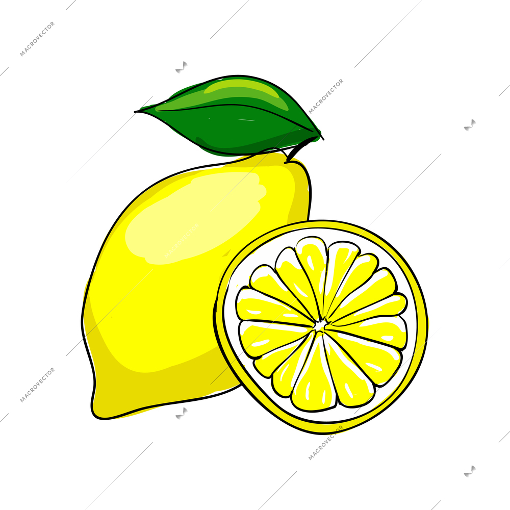 Colored whole and half lemon with green leaf sketch hand drawn vector illustration