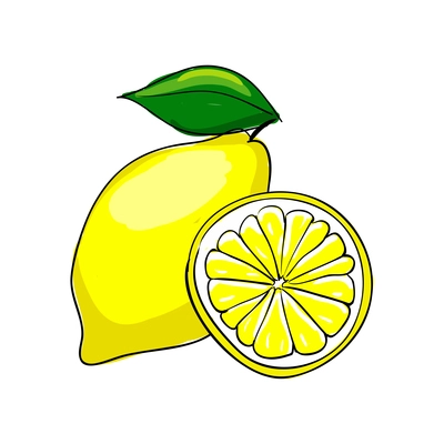 Colored whole and half lemon with green leaf sketch hand drawn vector illustration