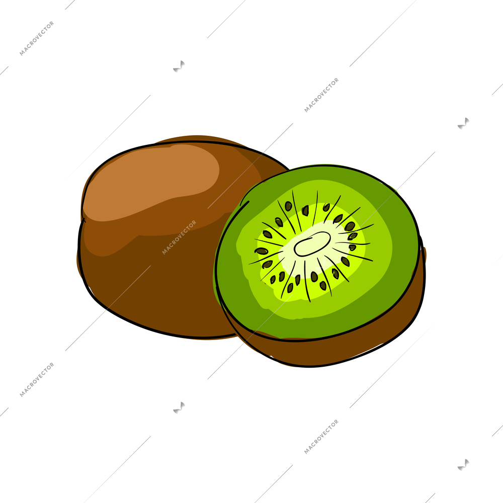 Sketch hand drawn whole and half kiwi vector illustration