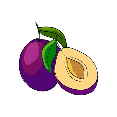 Ripe whole and half plum with green leaves sketch vector illustration