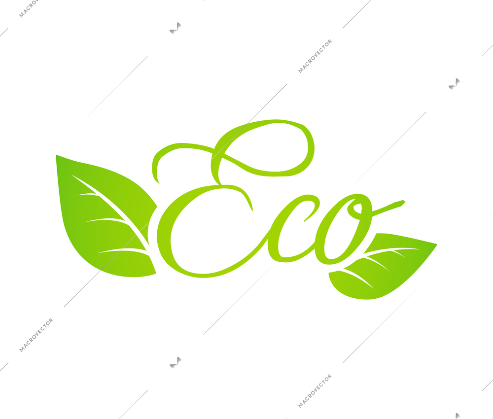 Eco green emblem with two leaves on white background vector illustration