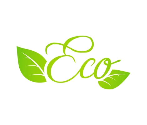 Eco green emblem with two leaves on white background vector illustration