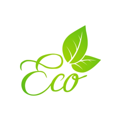 Flat eco logotype design with two green leaves vector illustration