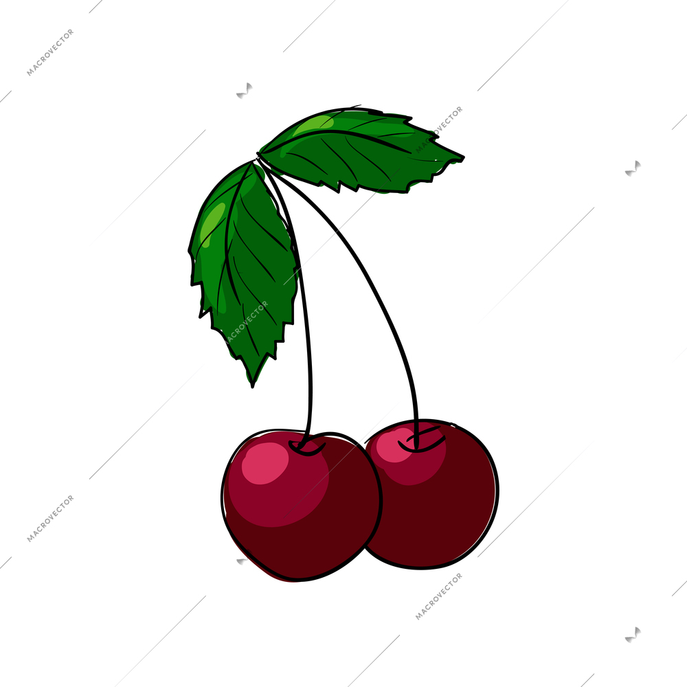 Two cherries with green leaves sketch hand drawn vector illustration
