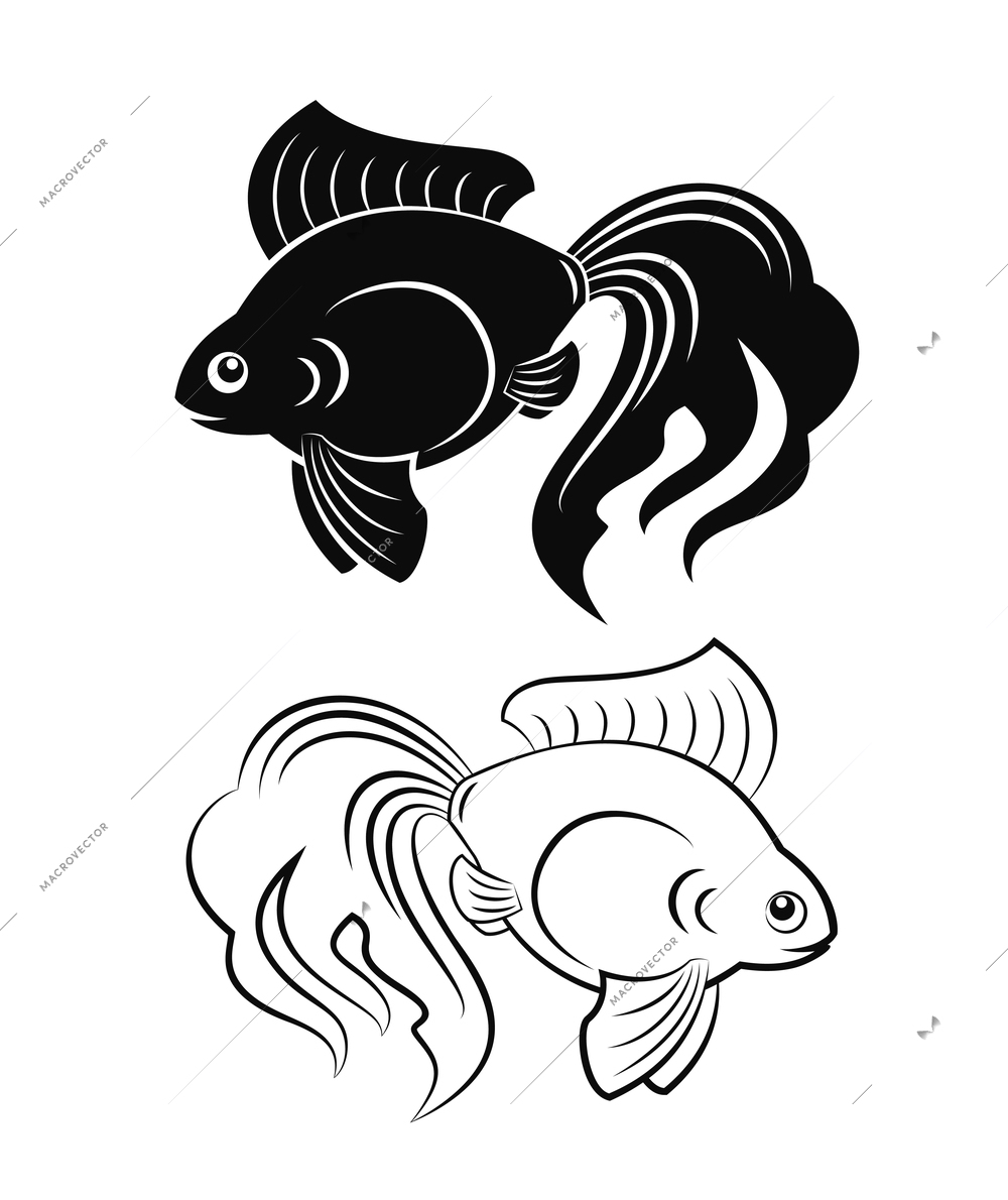 Black and white goldfish figures grand tails vector illustration