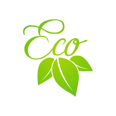 Eco flat logo design with green leaves vector illustration