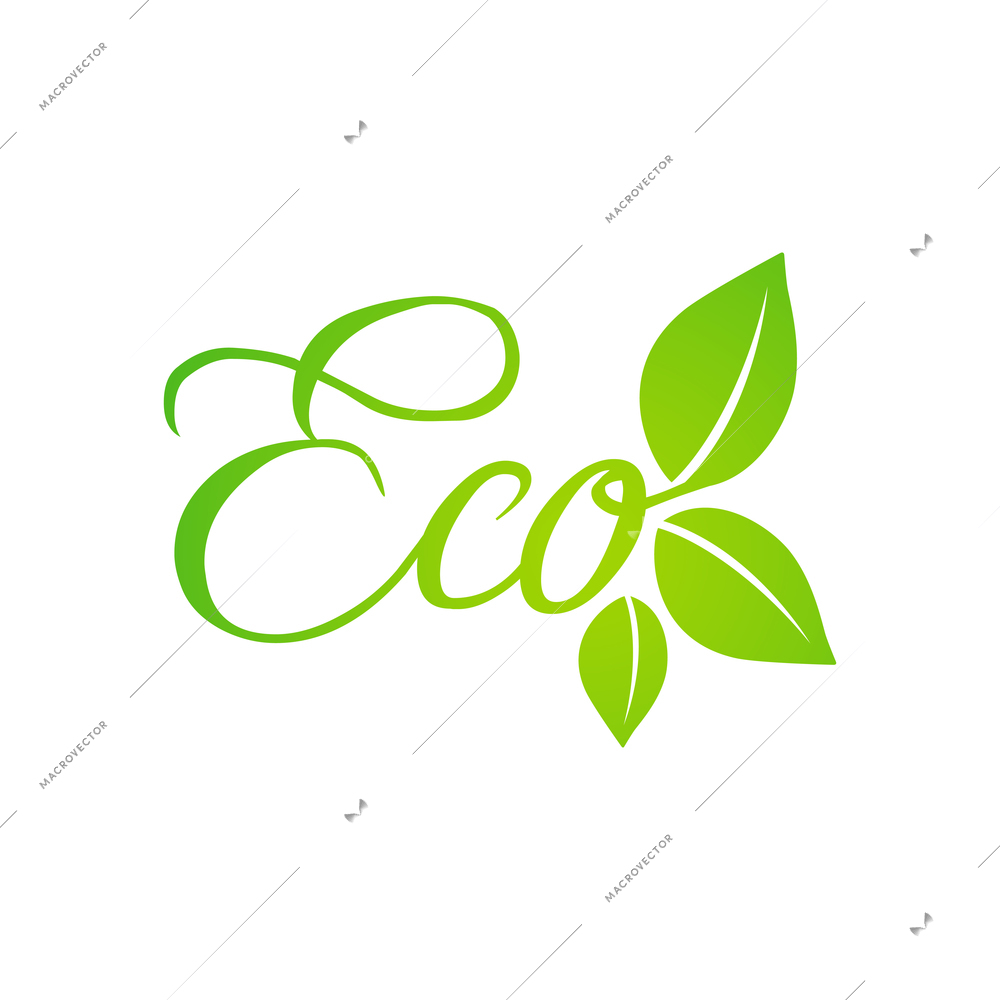 Eco flat emblem with green leaves vector illustration