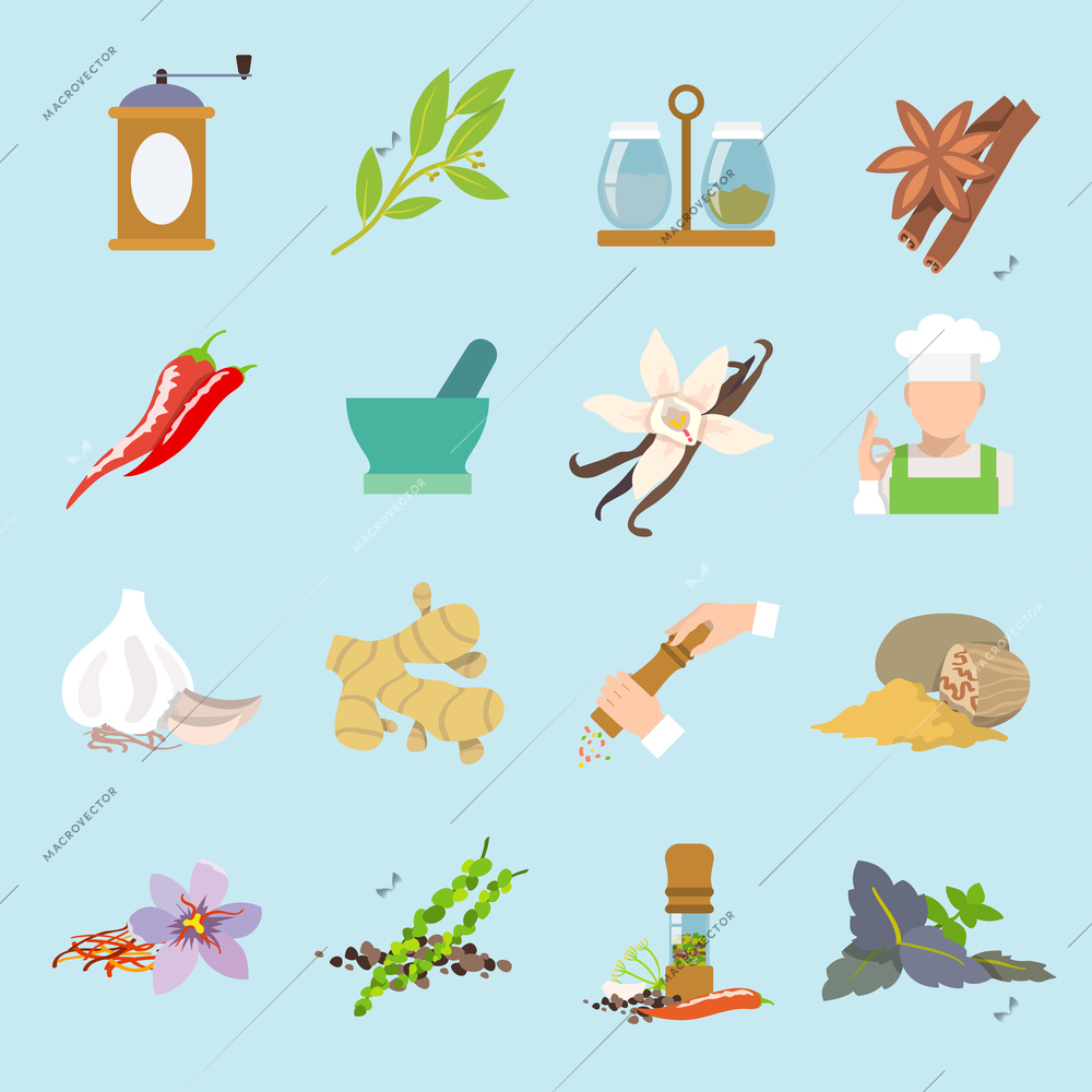 Herbs and spices flat icons set of ginger chili pepper garlic isolated vector illustration.