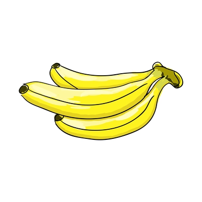 Sketch hand drawn bunch of bananas vector illustration