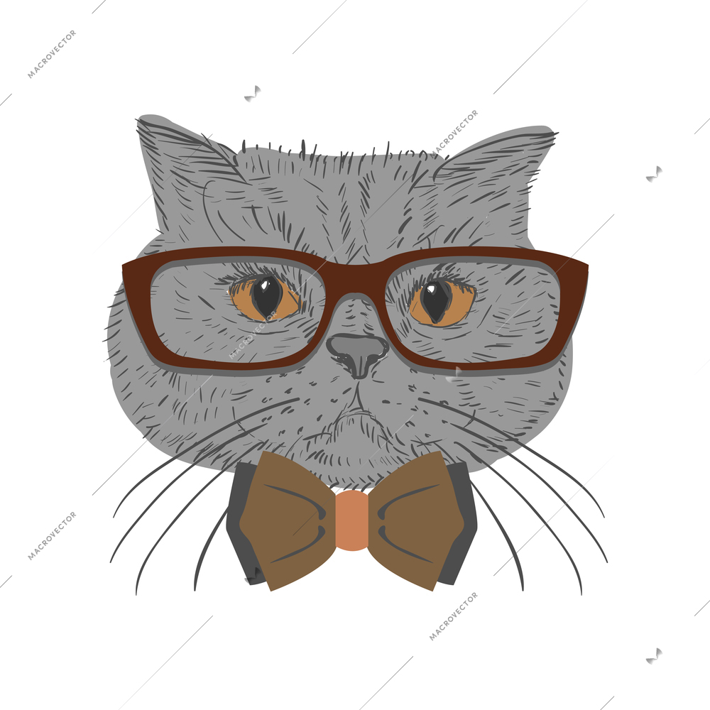 Sketch portrait of cute grey hipster cat wearing trendy glasses and bow tie vector illustration