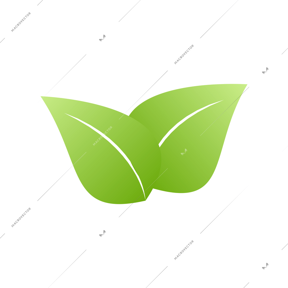 Two green leaves icon on white background flat vector illustration