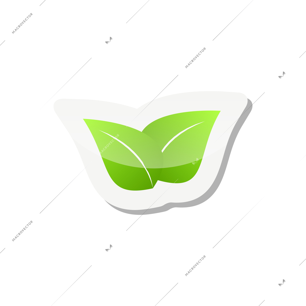 Flat sticker with two green leaves vector illustration