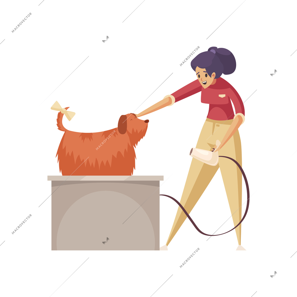 Grooming flat composition of female character with hairdryer and wet dog in bath vector illustration