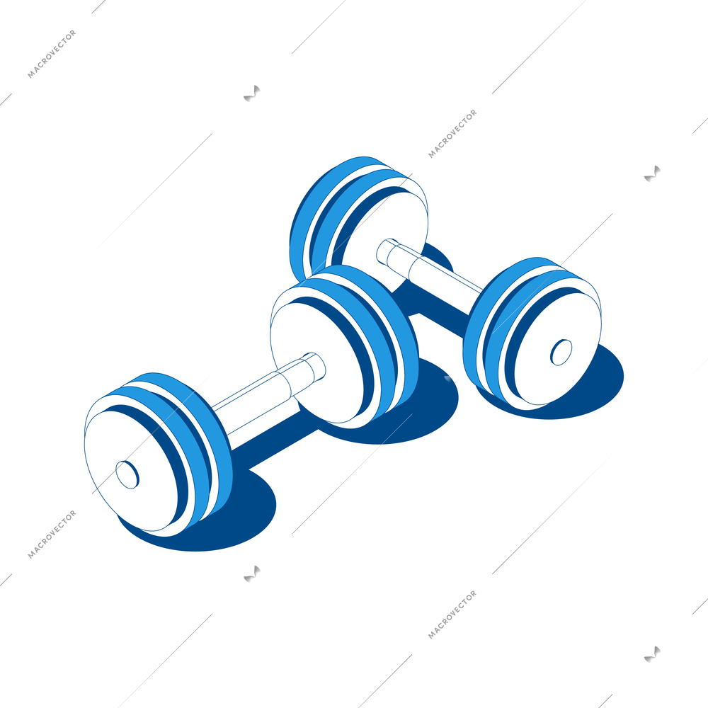 Home sport isometric composition with pair of dumbbells on blank background vector illustration