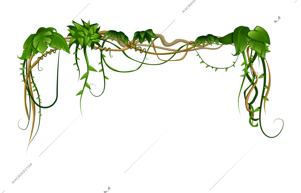 Liana tropical leaves cartoon composition with isolated image of hanging plant on blank background vector illustration