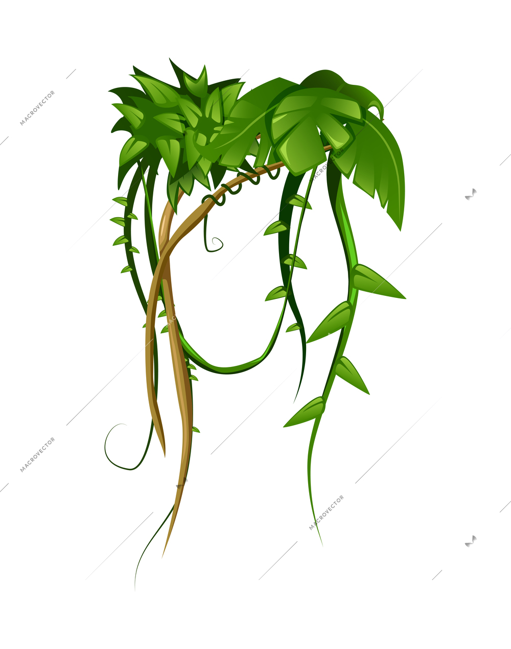 Liana tropical leaves cartoon composition with isolated image of hanging plant on blank background vector illustration