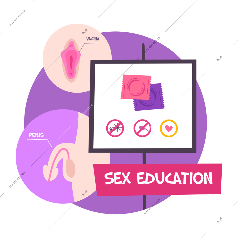 Sex shop composition with text and educational board with condoms and anatomic schemes of human genitals vector illustration