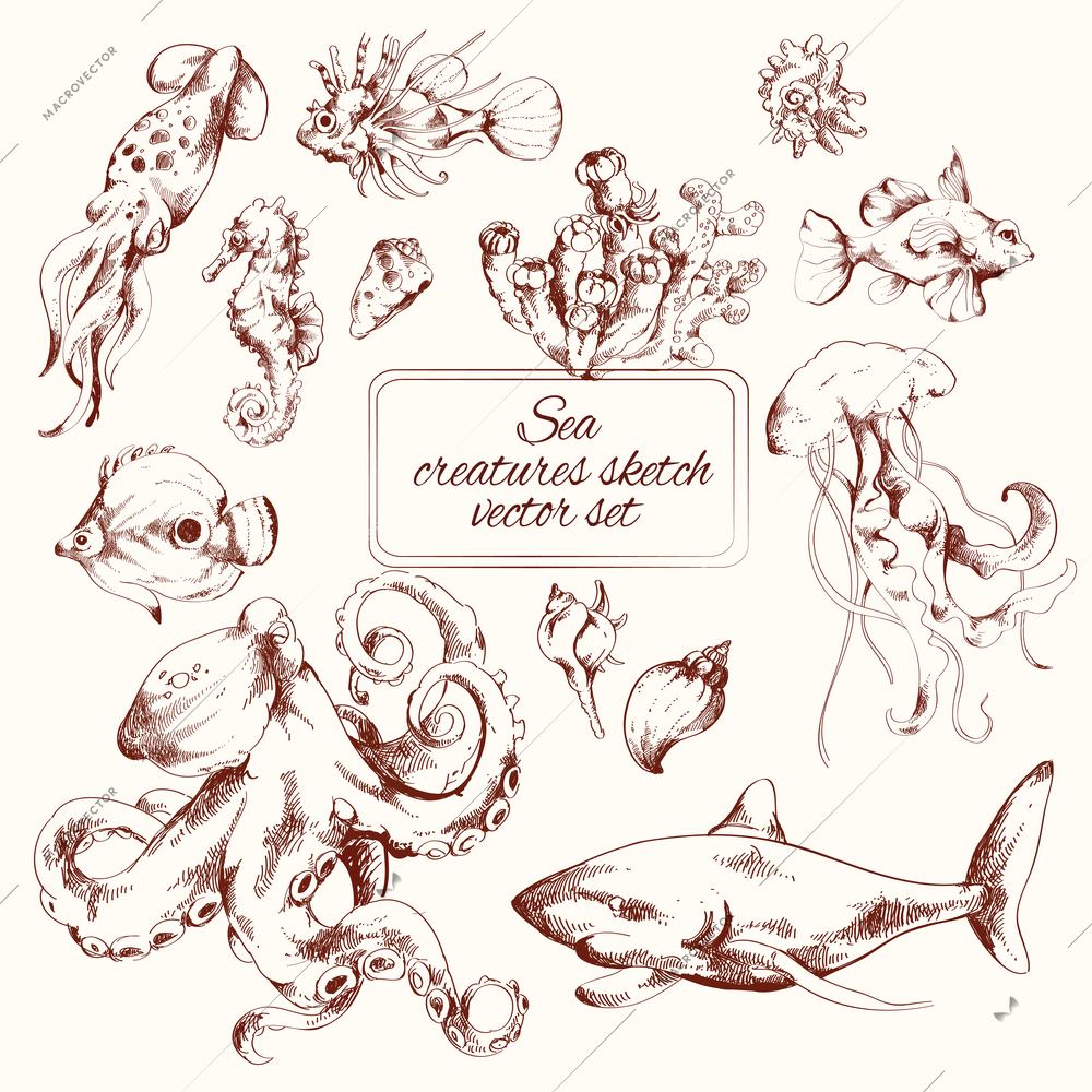 Sea creatures sketch decorative icons set isolated vector illustration