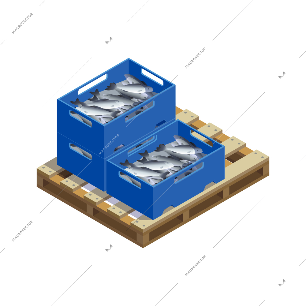 Fish industry seafood production isometric composition with images of pallet with blue plastic boxes of fish vector illustration