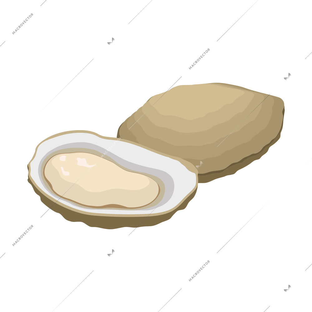 Fish industry seafood production isometric composition with isolated image of shell vector illustration