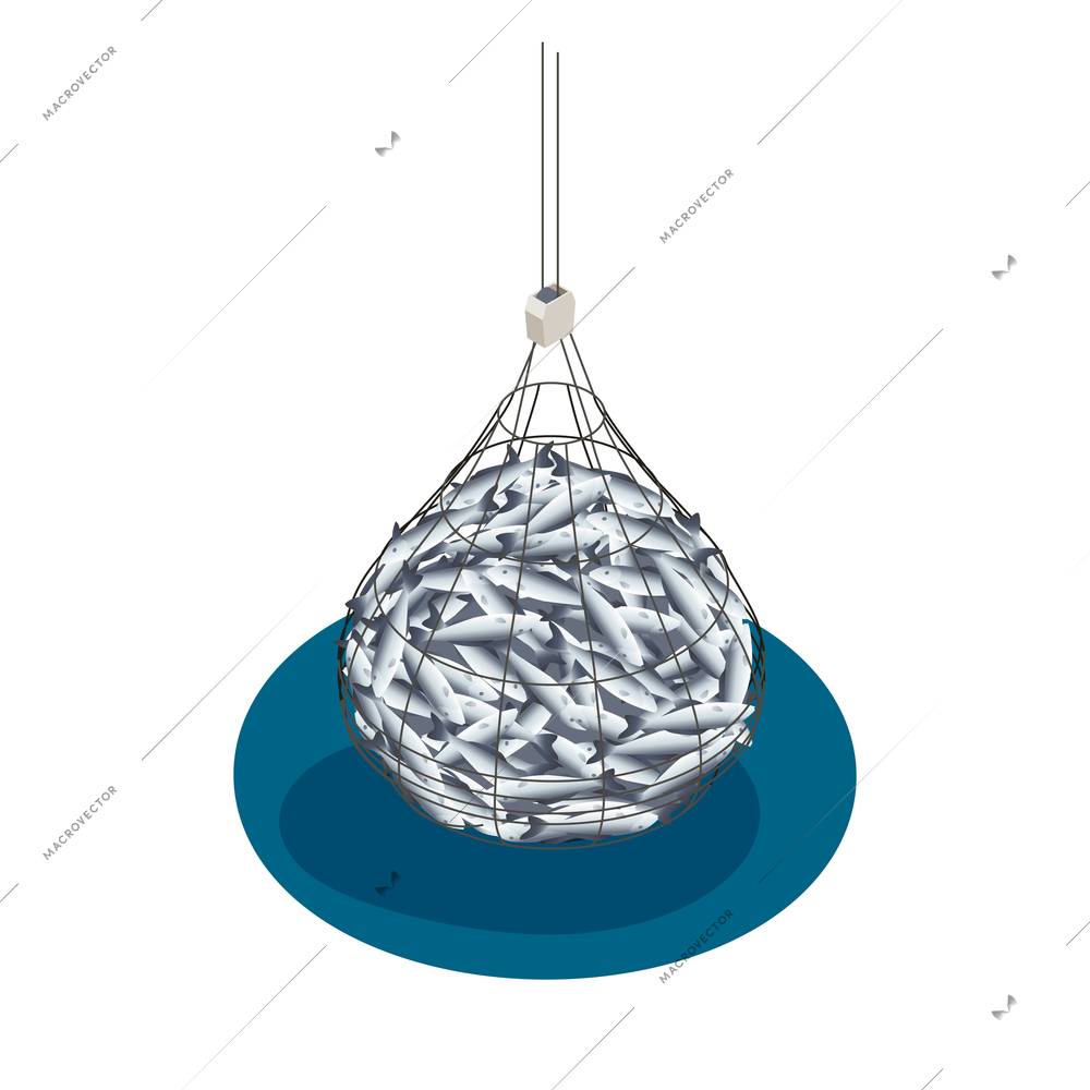 Fish industry seafood production isometric composition with isolated image of fish net filled with fish take vector illustration