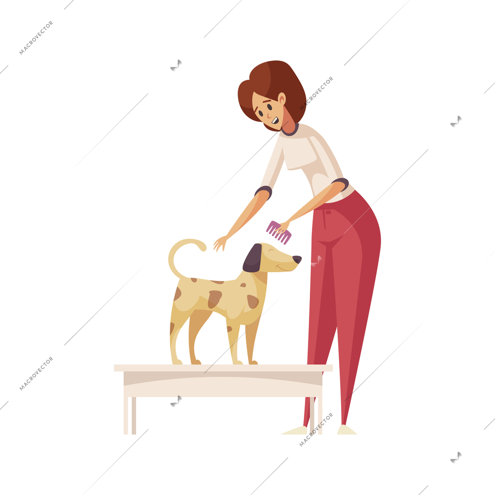 Grooming flat composition with female character holding comb with dog vector illustration