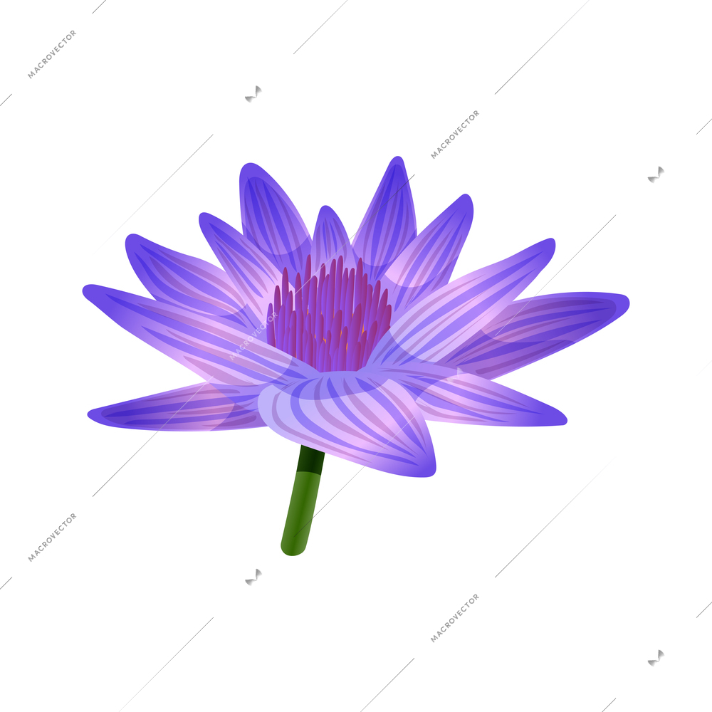 Sri lanka tourism travel composition with isolated image of blue lotus flower with green stalk vector illustration