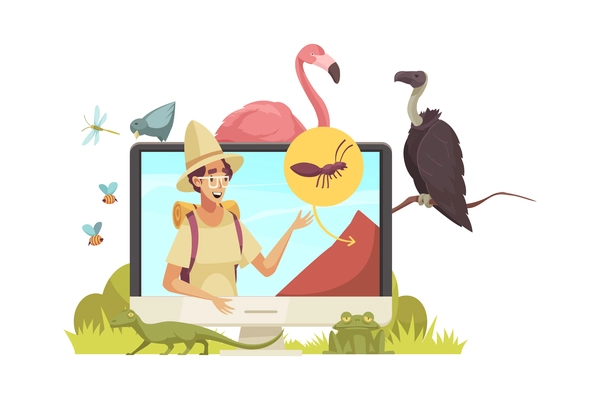 Video blogger composition with desktop computer and human character surrounded by bird images and insects vector illustration