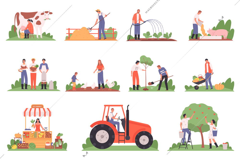 Farm flat icons set with people milking cow gathering harvest feeding animals driving tractor selling vegetables at market isolated vector illustration