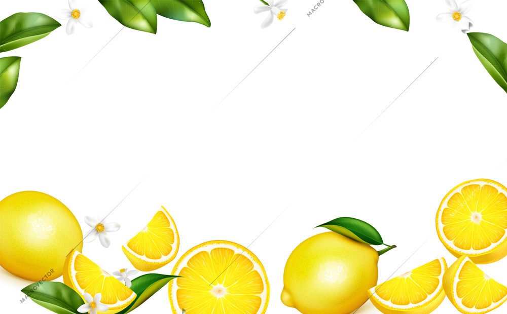 Fresh lemon leaves blossom fruit whole halves quarters on white decorative background border realistic composition vector illustration