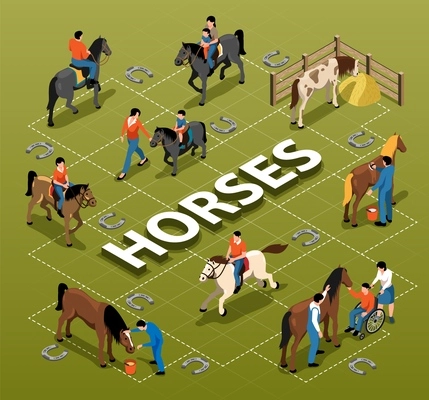 Horses isometric flowchart demonstrated people with disability adults and children getting equine assisted therapy vector illustration